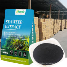 free sample bulk black soluble water seaweed extract organic fertilizer for grass